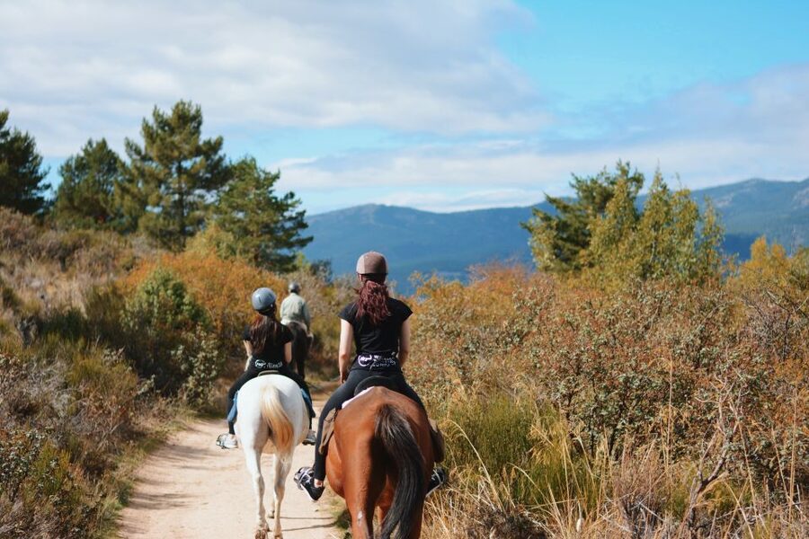 Madrid: Horse Riding in Sierra del Guadarrama National Park - Key points to know before you book