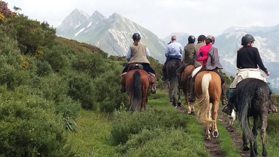 Madrid: Horse Riding in Sierra del Guadarrama National Park - The short SUV transfer and arrival at the riding area