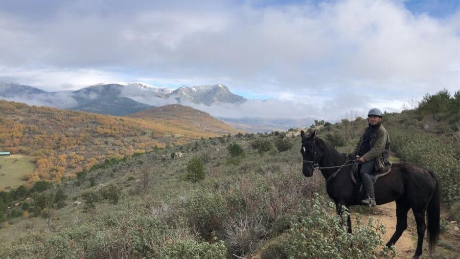 Madrid: Horse Riding in Sierra del Guadarrama National Park - Two hours on horseback near Navacerrada