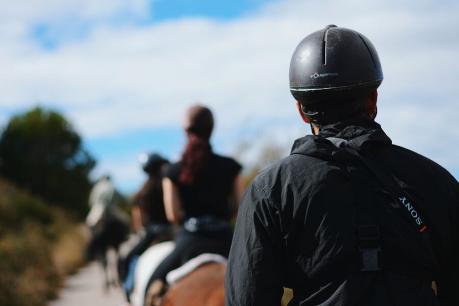 Madrid: Horse Riding in Sierra del Guadarrama National Park - What you may see around the Sierra de Guadarrama