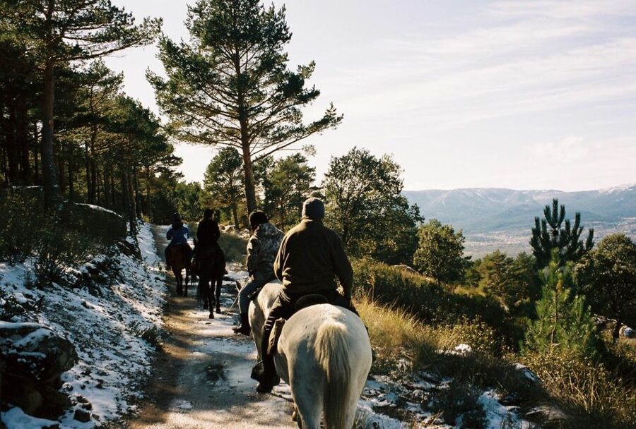 Madrid: Horse Riding in Sierra del Guadarrama National Park - Who will enjoy this mountain ride most