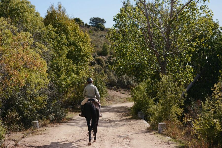 Madrid: Horse Riding in Sierra del Guadarrama National Park - Should you book Horse Riding Madrid Jarahonda?