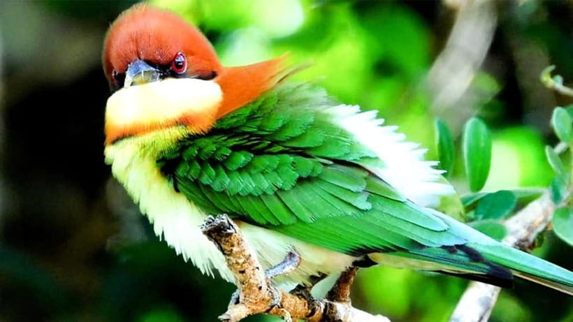 Maduru Oya National Park Private Safari - Three hours in Maduru Oya’s dry-zone park