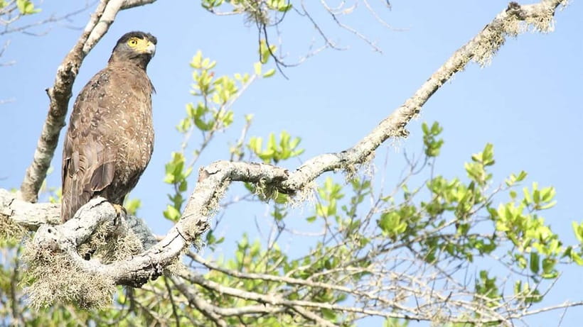 Maduru Oya National Park Private Safari - Is $40 per person good value?