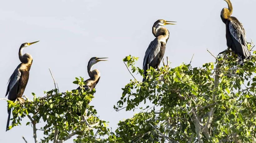 Maduru Oya National Park Private Safari - Meeting the jeep at the park gate
