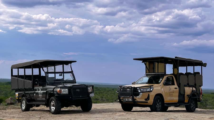 Malelane & Komtipoort: Kruger National Park Full-Day Safari - What the morning drive is really for