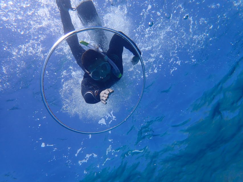 Mallorca: Snorkeling in a Beautiful Nature Reserve - Who should book this snorkeling tour?