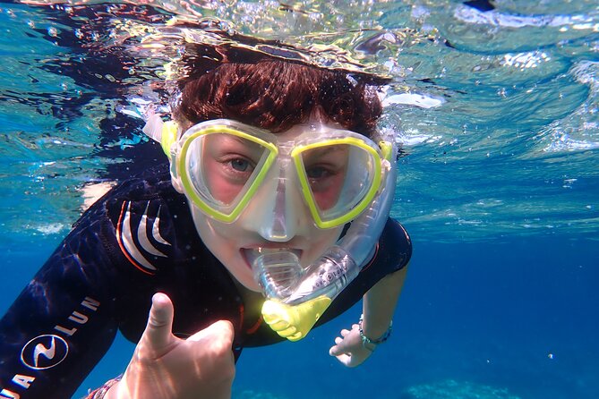 Mallorca: Snorkeling in a Beautiful Nature Reserve - Fish, rays, and the view from the surface