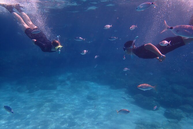 Mallorca: Snorkeling in a Beautiful Nature Reserve - What the 3.5-hour outing feels like