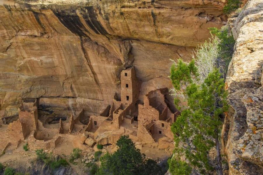 Mancos: Mesa Verde National Park Half-Day Tour - Comfort, timing, and the packed-van question