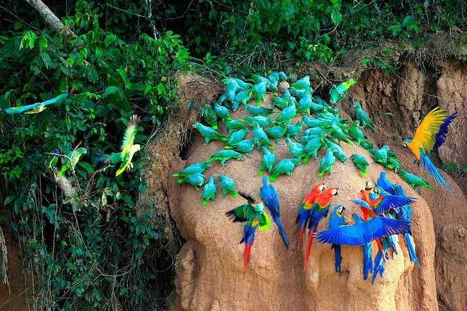 Manu National Park Tour 4days/3night - Hot springs and a softer side of the trip
