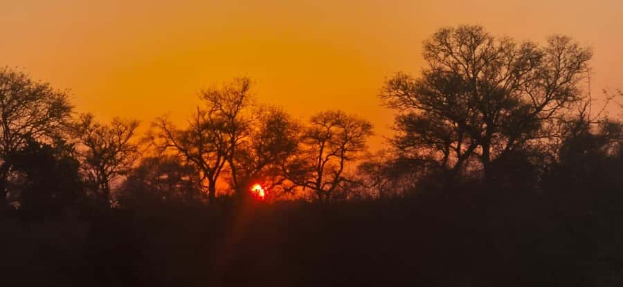 Maputo: Kruger National Park Day Trip - Why the guide matters in Kruger