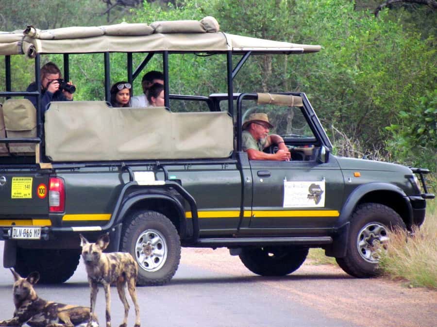 Maputo: Kruger National Park Day Trip - What to bring for the open vehicle