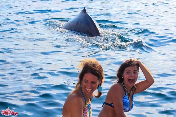 Marietas Islands National Park: Full Day ALL INCLUSIVE Tour - The ride to Marietas Islands and the chance to see wildlife