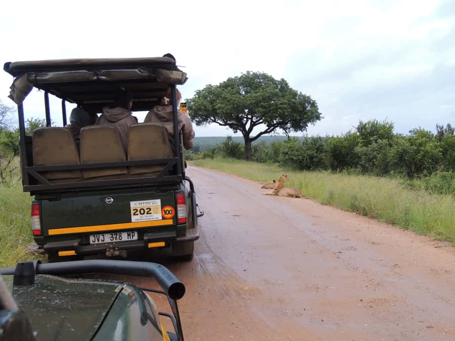 Marloth Park: Kruger National Park Safari Game Drives - Comfort, Access, and Practical Limits