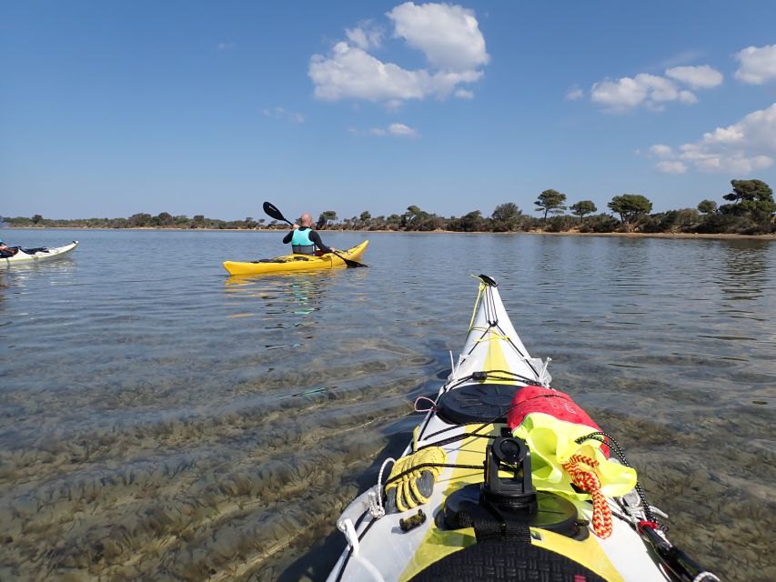 Marsala: Kayak Tour in Stagnone di Marsala Nature Reserve - San Pantaleo and the Phoenician site of Mozia