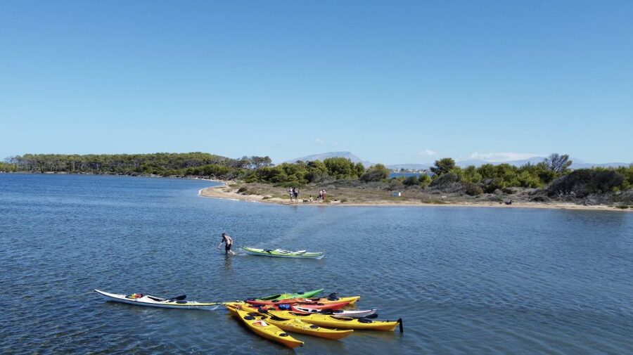 Marsala: Kayak Tour in Stagnone di Marsala Nature Reserve - Sicilian food makes the breaks worthwhile