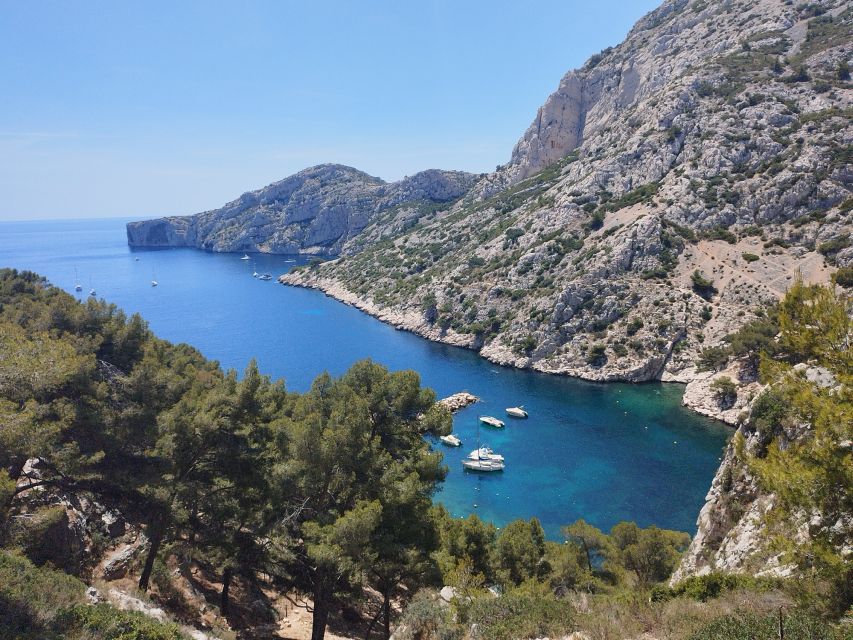 Marseille: Guided Hiking Calanques National Park from Luminy - Key points to know before you go