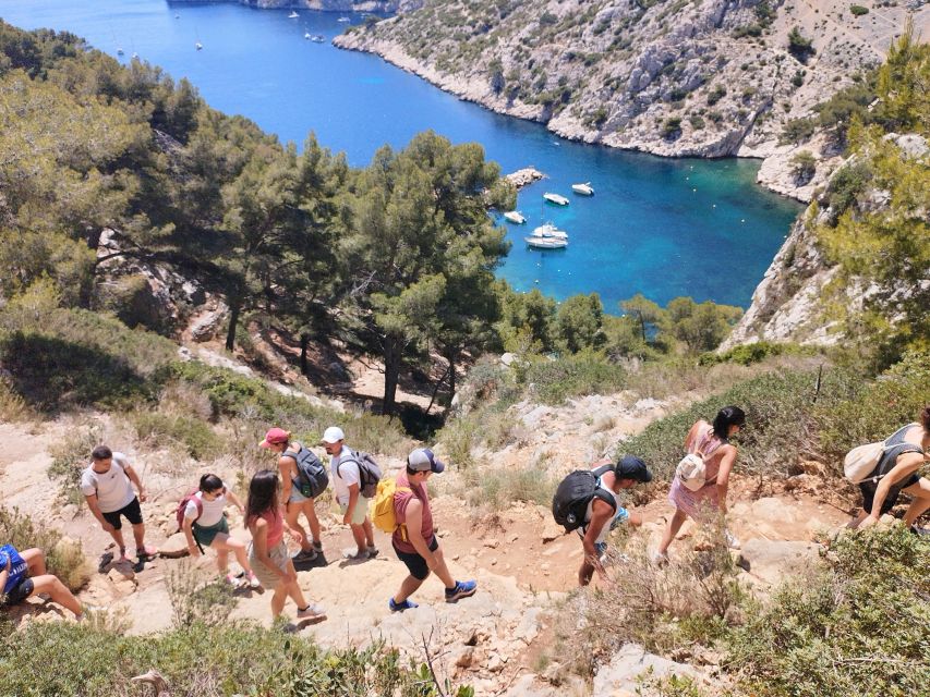 Marseille: Guided Hiking Calanques National Park from Luminy - How much value do you get for $47?