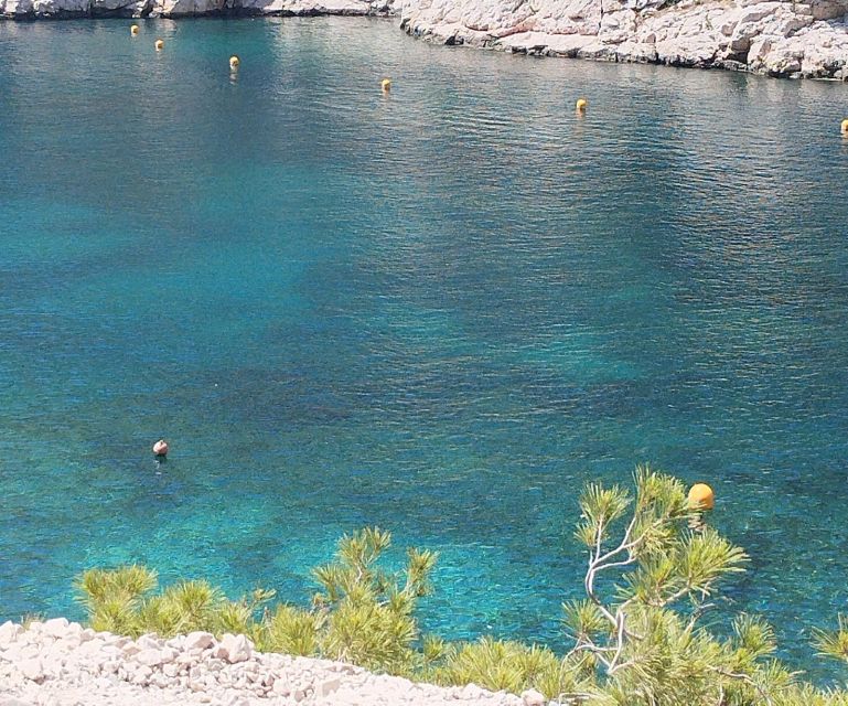 Marseille: Guided Hiking Calanques National Park from Luminy - Who should book this hike?