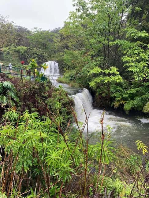 Maui: Haleakalā National Park and Upcountry Sunset Tour - Key points to know before booking