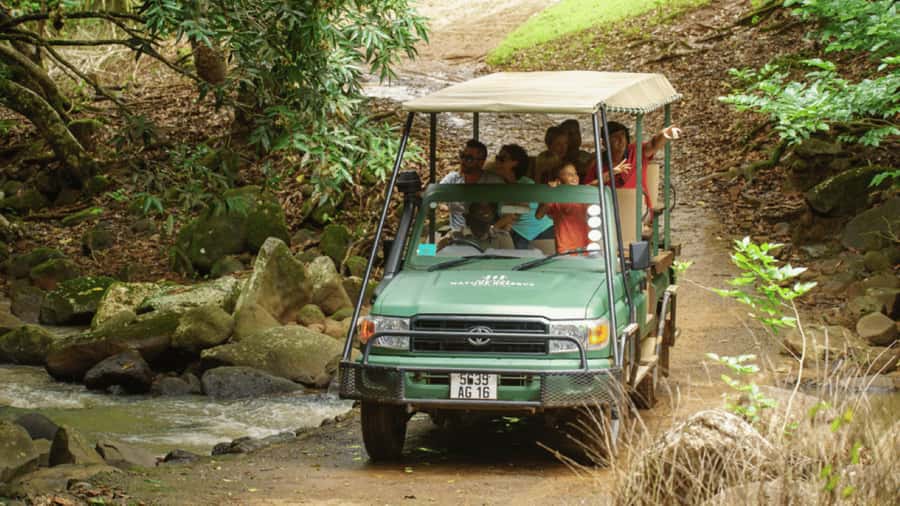 Mauritius: Bel Ombre Nature Reserve 4x4 Safari Adventure - The 4x4 ride: bumpy, scenic, and not luxurious