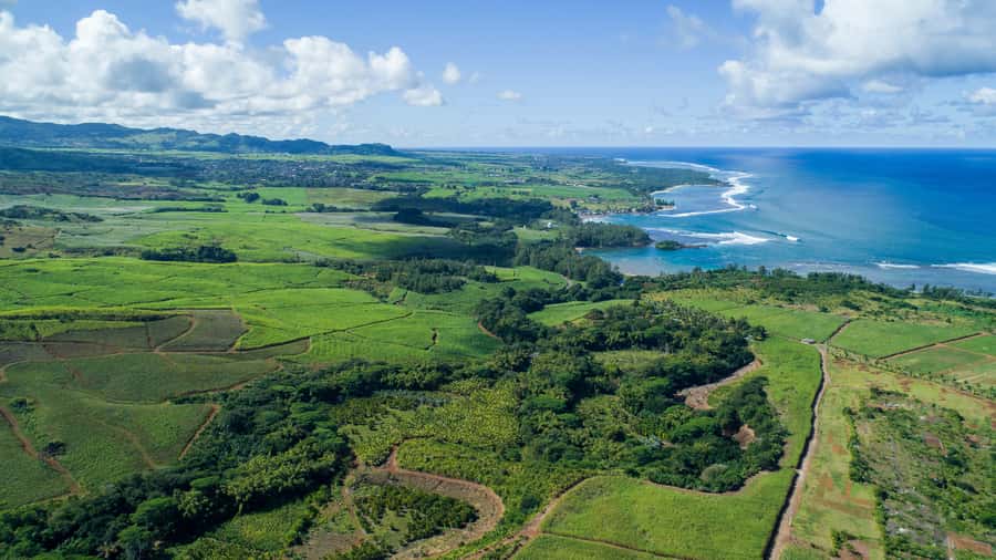 Mauritius: Bel Ombre Nature Reserve Quad Bike Tour - Getting comfortable on the quad bike