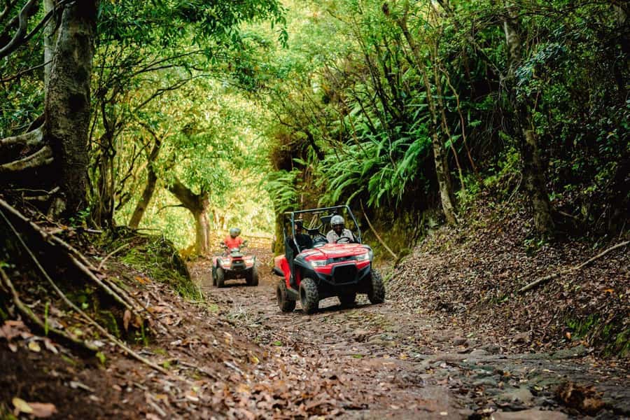 Mauritius: Bel Ombre Nature Reserve Quad Bike Tour - Reaching the waterfall
