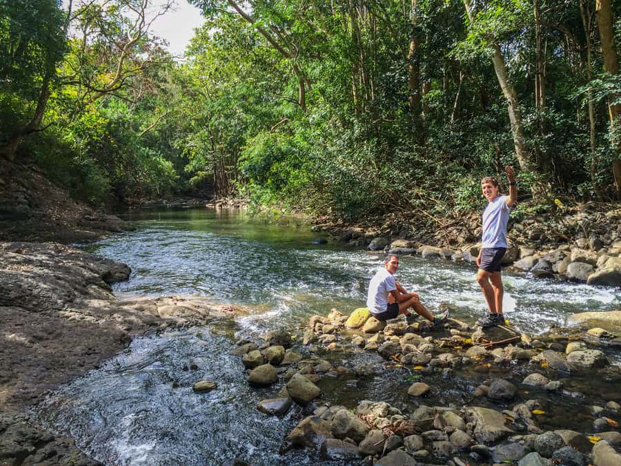 Mauritius: Black River Gorges National Park 3-Hour Hike - What to bring and how to prepare