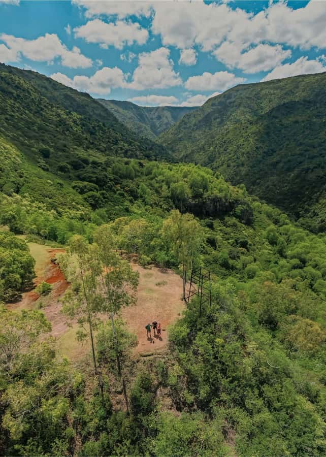 Mauritius: Black River Gorges National Park 3-Hour Hike - Guides, pace, and group size