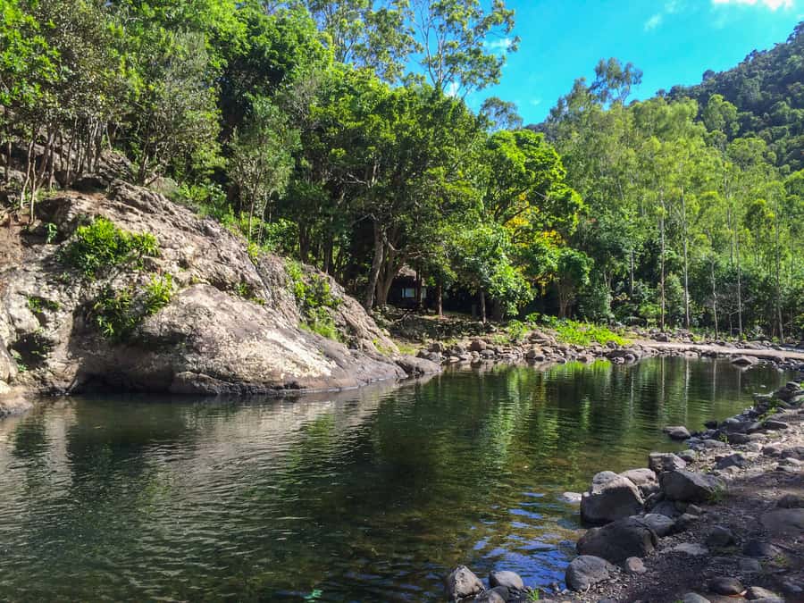Mauritius: Black River Gorges National Park 3-Hour Hike - Is $64 a fair price?