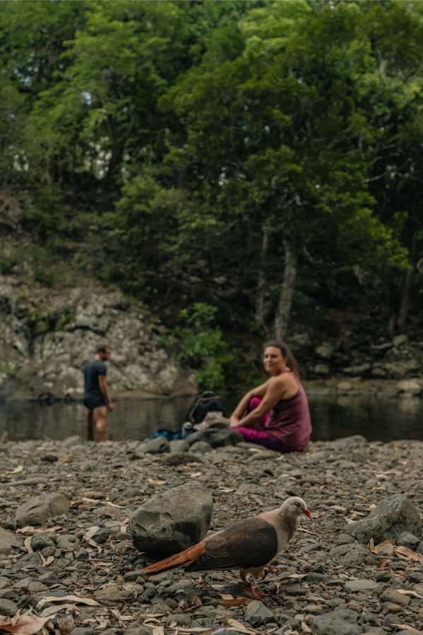 Mauritius: Black River Gorges National Park 3-Hour Hike - Who should book this hike?