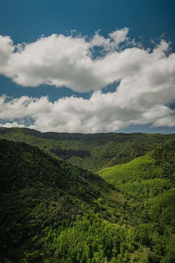Mauritius: Black River Gorges National Park 3-Hour Hike - What the three-hour route feels like
