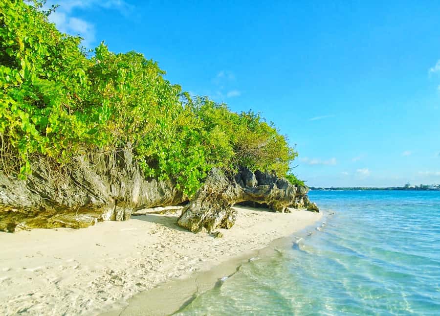 Mauritius: Ile aux Aigrettes Nature Reserve with Boat Ride - Key points to know before you book