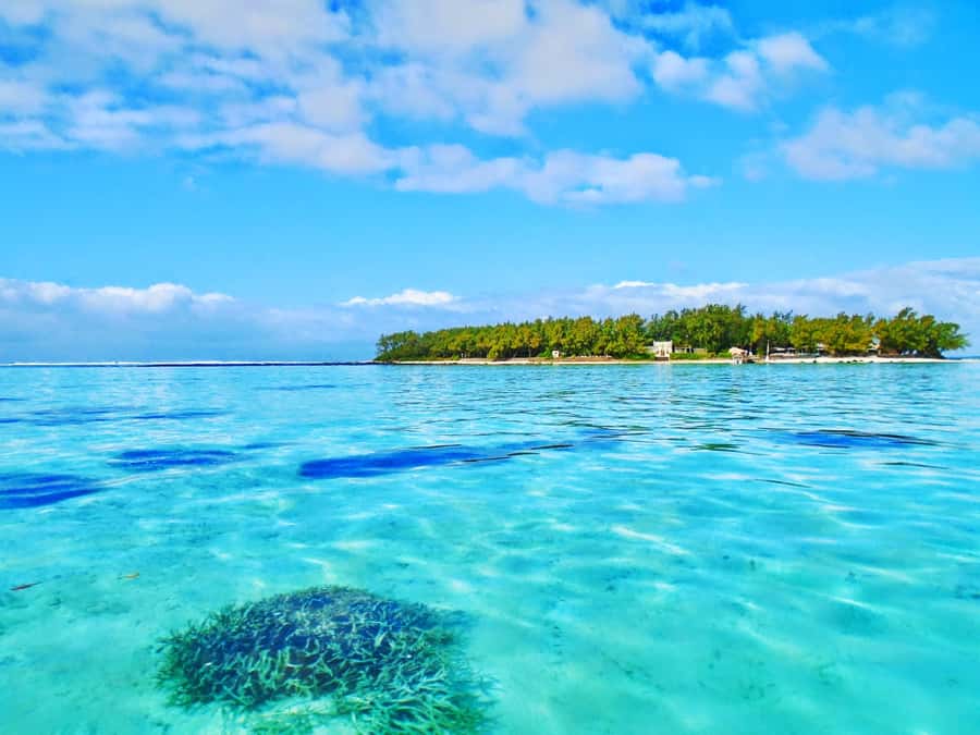 Mauritius: Ile aux Aigrettes Nature Reserve with Boat Ride - Blue Bay gives you a gentler start