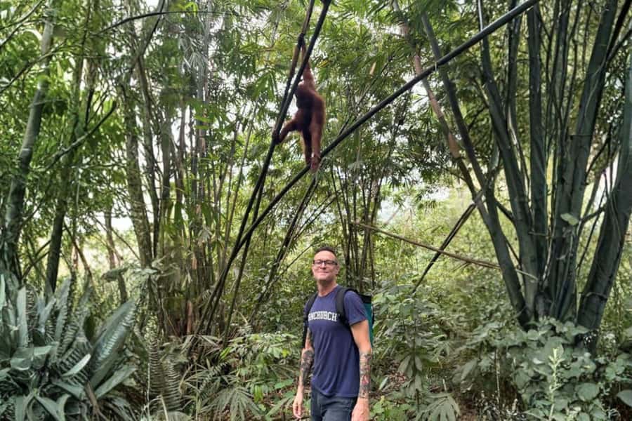 Medan: Mount Leuser National Park Full-Day Trip - Three hours on the Mount Leuser trail