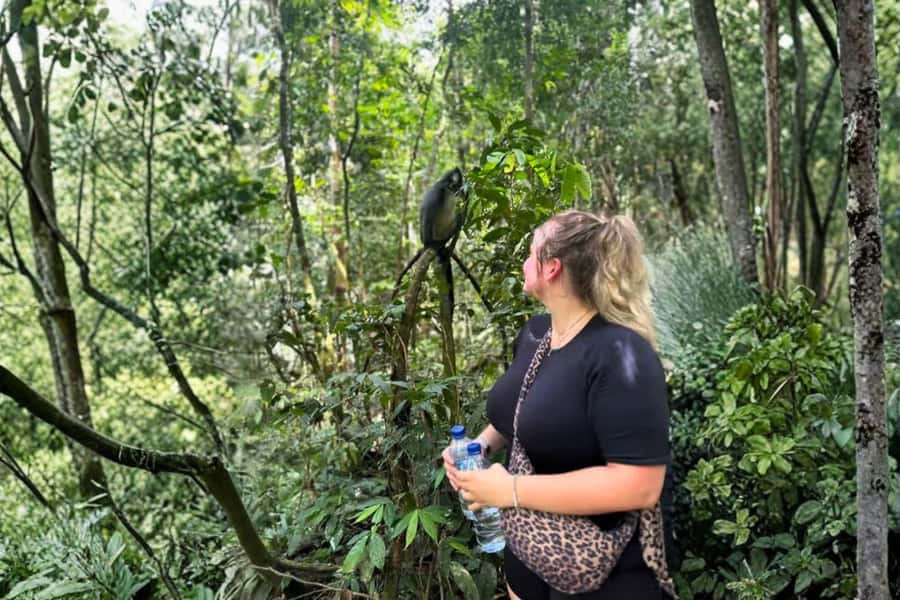 Medan: Mount Leuser National Park Full-Day Trip - Is $129 per person good value?