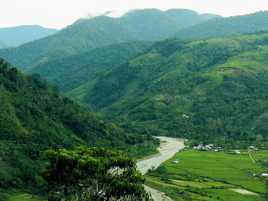 Medan: Mount Leuser National Park Full-Day Trip - What the day feels like from start to finish