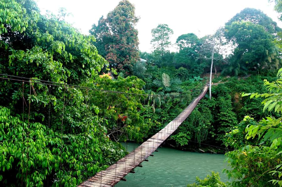 Medan: Mount Leuser National Park Full-Day Trip - Practical verdict