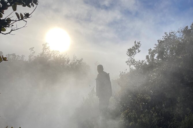 Meet in the park - Private Hawaii Volcanoes National Park Tour - Kilauea is the main event