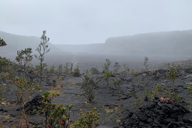 Meet in the park - Private Hawaii Volcanoes National Park Tour - Mauna Ulu shows the force of a long eruption