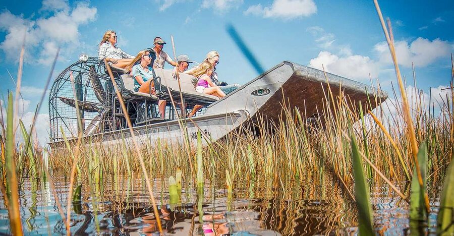 Miami: Everglades National Park Airboat Tour & Wildlife Show - What this Everglades trip really offers