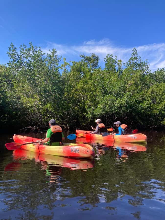 Miami: Everglades National Park Hiking and Kayaking Day Trip - The first hikes: three habitats on foot