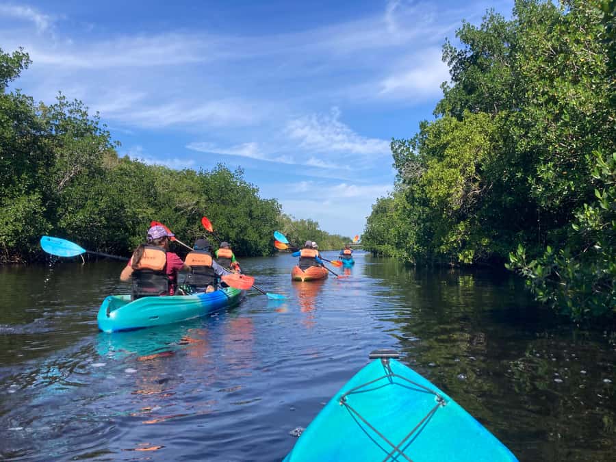 Miami: Everglades National Park Hiking and Kayaking Day Trip - Starting from Miami or Homestead