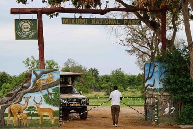 Mikumi National Park 2 Days/ 1 Night - The second morning gives Mikumi real value