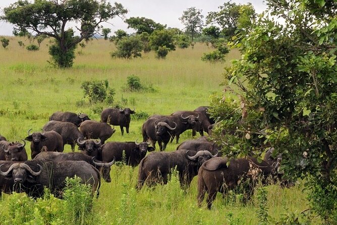 Mikumi National Park 2 Days/ 1 Night - The evening road back to Dar es Salaam