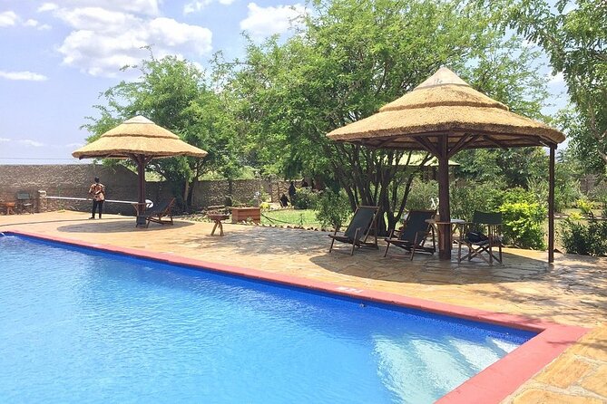 Mikumi National Park 2 Days/ 1 Night - Guides, vehicles, and the private format