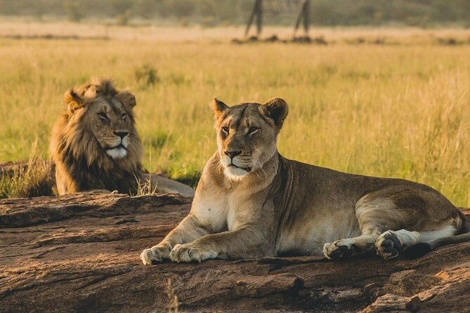 Mikumi National Park 2 Days/ 1 Night - What the $640 price really includes