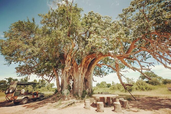 Mikumi National Park 3 Day Tour - Why Mikumi works for a short safari from Dar es Salaam