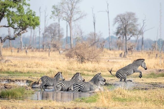 Mikumi National Park 3 Day Tour - Who will enjoy this three-day Mikumi trip